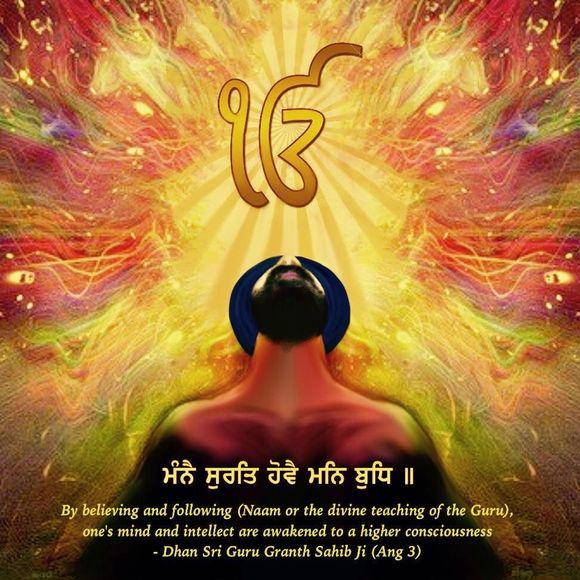 Meet your Posher, Amarjot - Picture 1 of 1